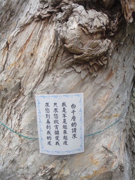 DSC04480.JPG