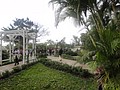 DSC04419.JPG