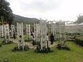 DSC04420.JPG