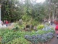DSC04423.JPG