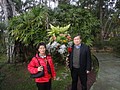 DSC04435.JPG