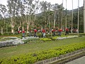 DSC04438.JPG
