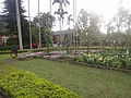 DSC04443.JPG