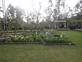 DSC04444.JPG