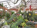 DSC04453.JPG