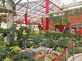 DSC04454.JPG