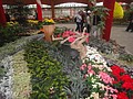 DSC04456.JPG
