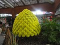 DSC04457.JPG