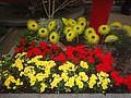 DSC04459.JPG