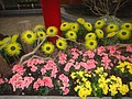 DSC04460.JPG