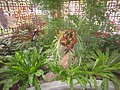 DSC04461.JPG