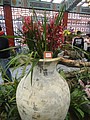 DSC04463.JPG