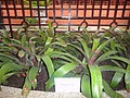 DSC04471.JPG