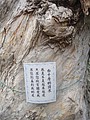 DSC04480.JPG
