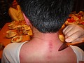 DSC04543.JPG