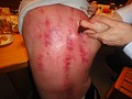 DSC04549.JPG