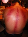 DSC04565.JPG