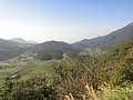 DSC04601.JPG