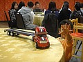 DSC04916.JPG