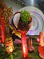 DSC04939.JPG