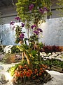 DSC04951.JPG