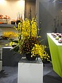 DSC04956.JPG