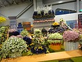 DSC04962.JPG