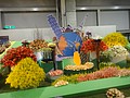 DSC04965.JPG