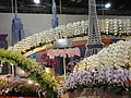 DSC04968.JPG
