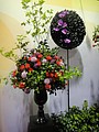 DSC04970.JPG