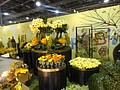 DSC04973.JPG