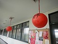 DSC05145.JPG