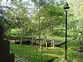 DSC05417.JPG