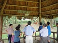 DSC05421.JPG