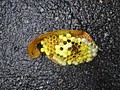 DSC05499.JPG