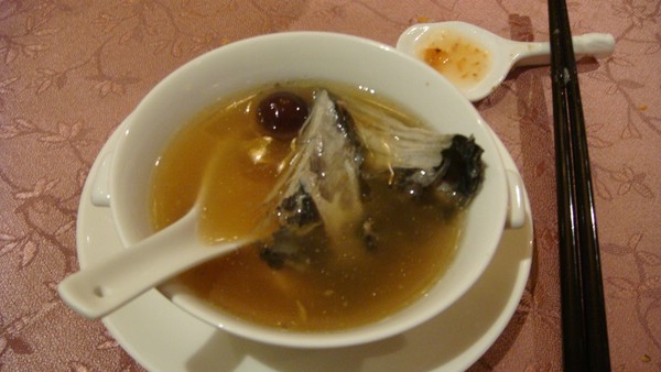 DSC05235.JPG