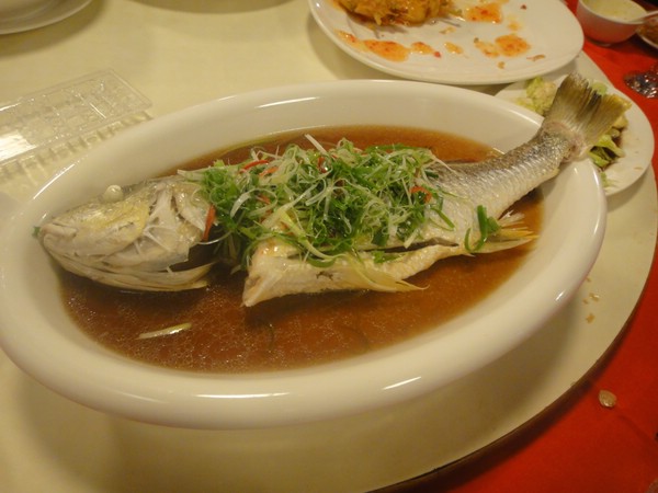DSC05647.JPG