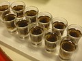 DSC05673.JPG
