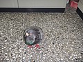 DSC05753.JPG
