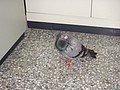 DSC05754.JPG