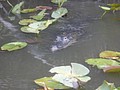 DSC05807.JPG