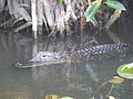 DSC05808.JPG