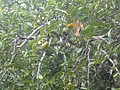 DSC05809.JPG