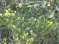 DSC05810.JPG