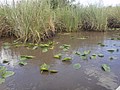 DSC05816.JPG