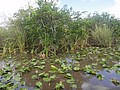 DSC05817.JPG