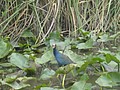 DSC05818.JPG