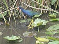 DSC05820.JPG