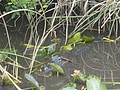 DSC05824.JPG