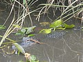DSC05825.JPG